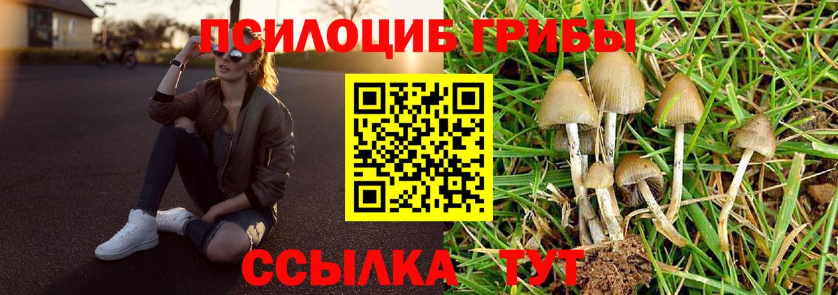 Галлюциногенные грибы Cubensis  Вход с VPN  Галлюциногенные грибы Cubensis  Сосновоборск 